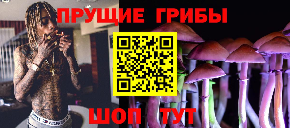 Советский  наркота  Вход с VPN  Псилоцибиновые грибы прущие грибы 
